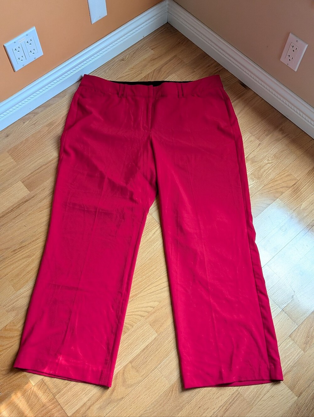 Lane Bryant Women's Pance Size 22